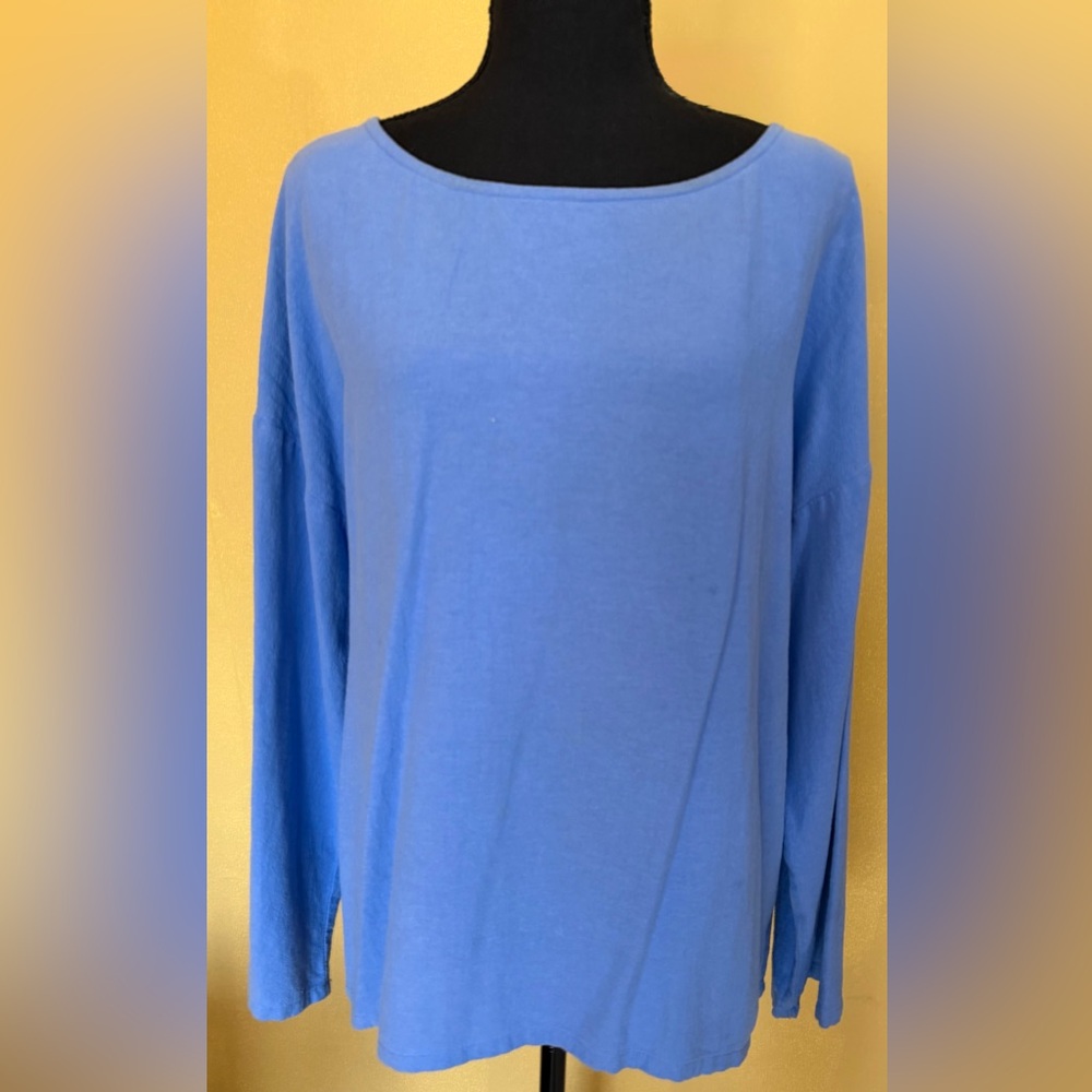 Soft Surroundings Sky Blue Long Sleeve Top